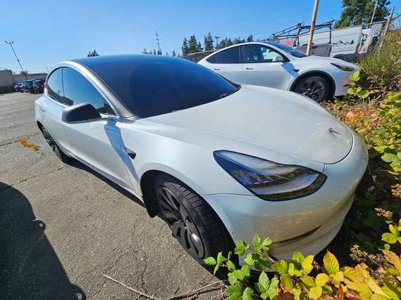 TESLA MODEL 3 2020 5YJ3E1EB7LF651470 image TESLA MODEL 3 2020 5YJ3E1EB7LF651470 image